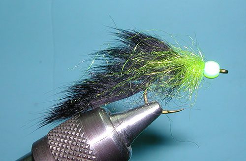 Shock Collar Leech, Black/Chartreuse