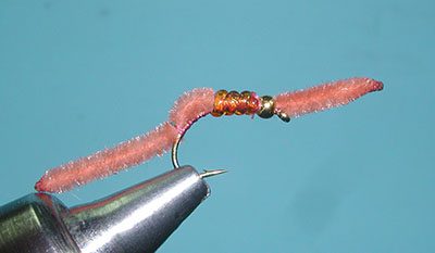 San Juan Worm , Worm Brown