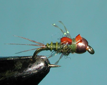 S&M Nymph, BWO