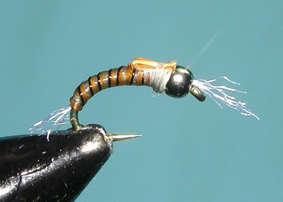 Orange/Gray Spanflex Emerger