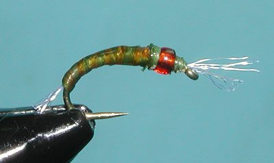 Orange/Olive Spanflex Emerger