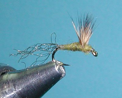 BWO Sparkle Dun