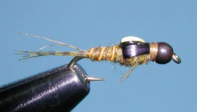 Split Case Mayfly, BWO