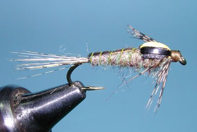 Split Case Mayfly Green Drake