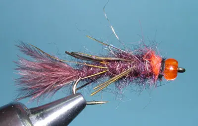 Fall Phase Stick Caddis