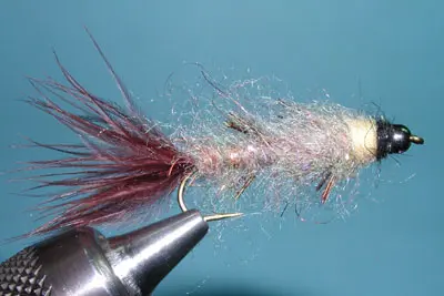 Gray Stick Caddis