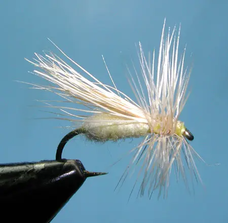 St. Vrain Caddis