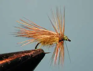 St. Vrain Caddis, Olive