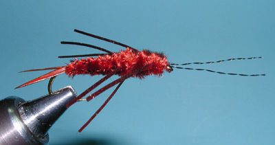 Wooten's Rubberlegs variation, Brown