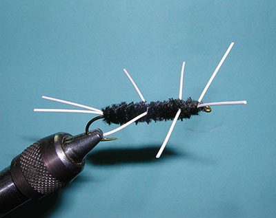 McGinnis Rubberlegs aka Girdle Bug