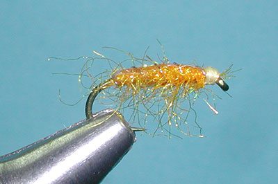 Tailwater Sowbug Orange