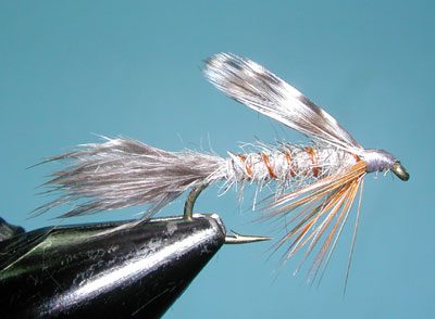 Gray Timberline Emerger