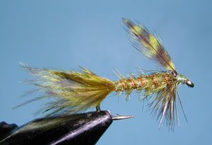 Timberline Emerger, Olive