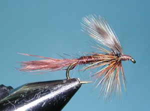 Timberline Emerger, Brown