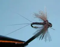 Trico Spinner (Male)