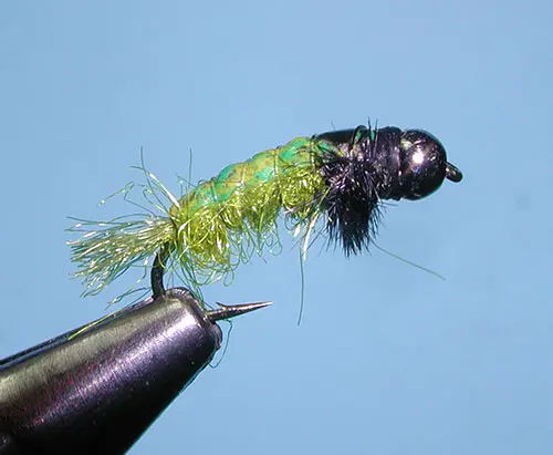 Uncased Caddis, Green