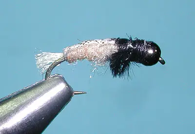 Uncased Caddis, Tan