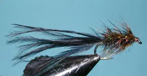 J Fair's Wiggle Tail, Peacock