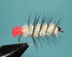 Tan/Black Woolly Worm