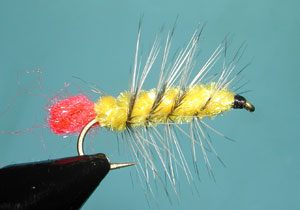 Yellow/Badger Woolly Worm