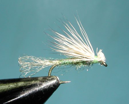 X caddis