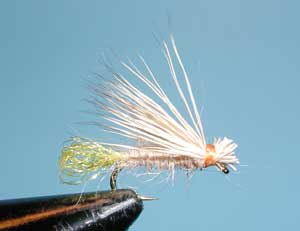 X-Caddis, Tan