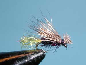 X-Caddis, Black