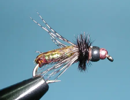 X-Ray Caddis Pupa, Tan