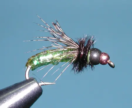 X-Ray Caddis Pupa, Olive