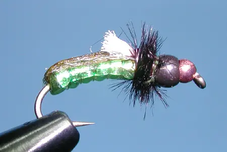 X-Ray Caddis Pupa, Olive