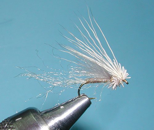 Yuba Emerger, Tan