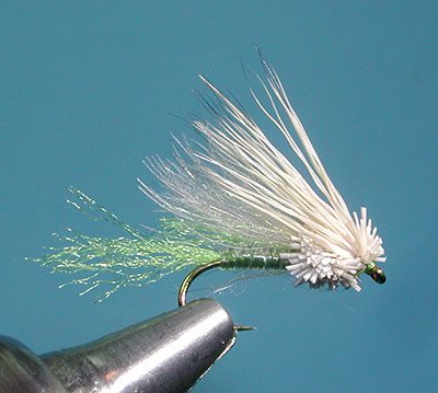 Yuba Emerger, Olive