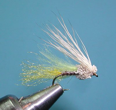 Yuba Emerger, Amber