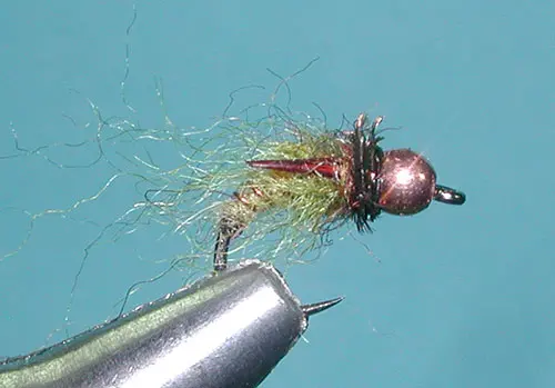 Hogan's Yuba Pupa, Tan/Olive