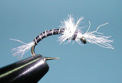 Zebra Midge Emerger