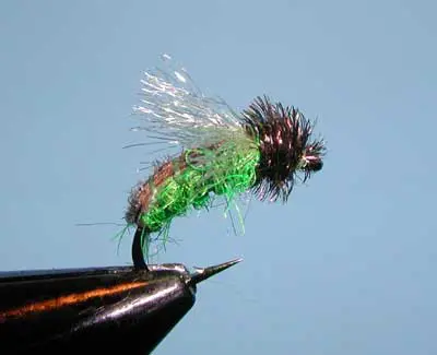 Z-Wing Caddis, Olive