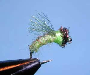 Z-Wing Caddis, Green