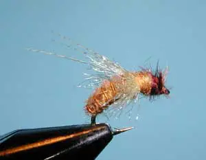 Z-Wing Caddis, Brown