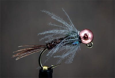 Cannabis products including dried marijuana and a container with a label.