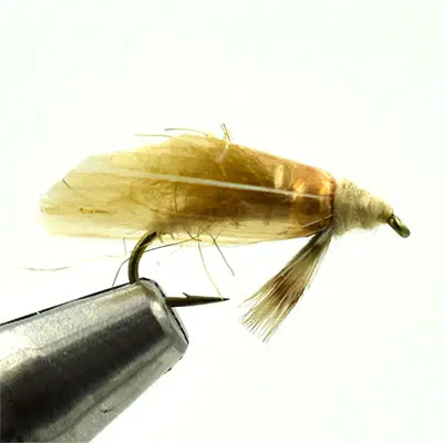 Stalcup's Bead Head Diving Caddis, Tan