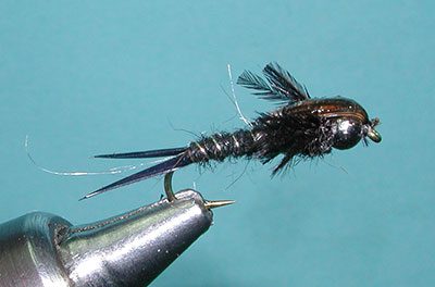 Tungsten Head Stonefly, Black