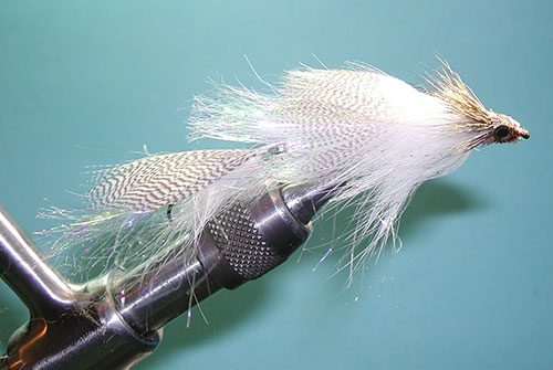 Mini Drunk & Disorderly- an Articulated Streamer