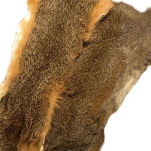 Fox Squirrel Skin