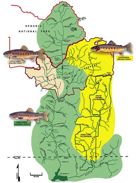 Golden Trout Historical Range