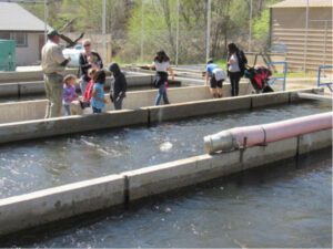 Kernville Fish Hatchery