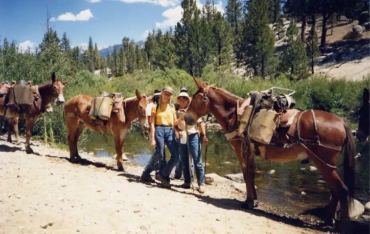 Little Kern Golden Recovery Crew