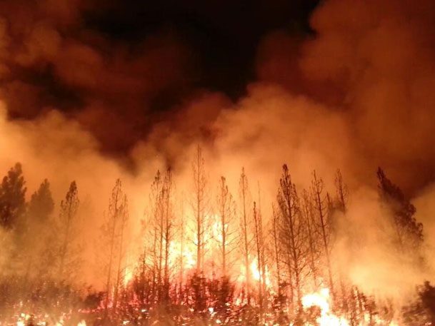 Origin of the Golden Trout, Wildfires