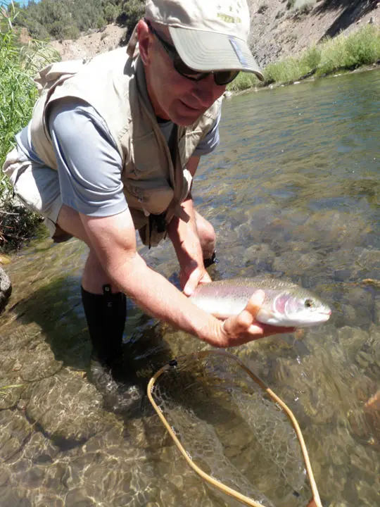 EF Carson Wild Trout Section