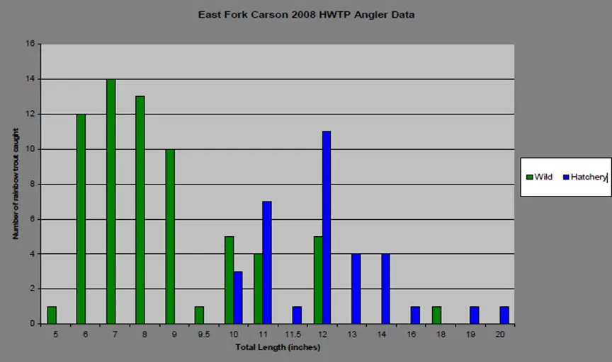 Wild Trout Survey