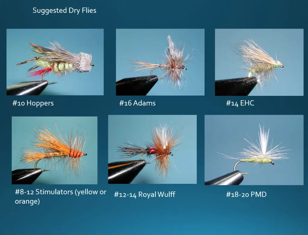 Suggested Dry Flies